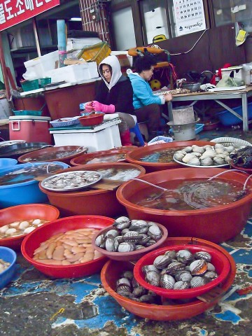 Seafood for Sale