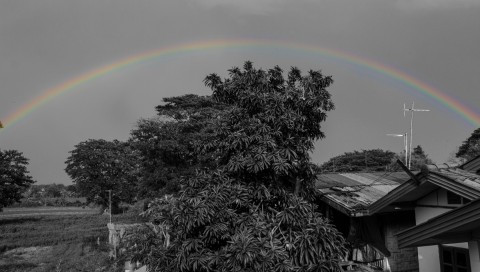Black and White Rainbow