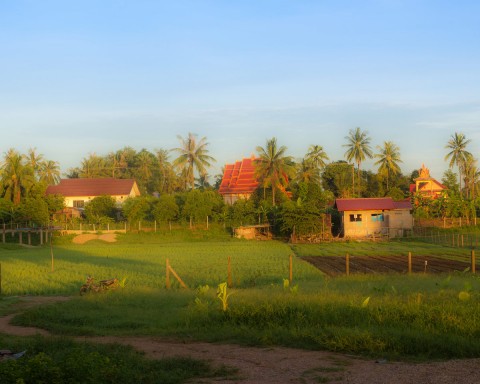 Early morning village